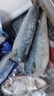 繽鮮 挪威青花魚(yú)片 5片裝 生鮮鯖魚(yú) 新鮮冷凍青魚(yú)鮐魚(yú)似鲅魚(yú) 魚(yú)類(lèi)海鮮 2000g【170-220g/片】大號10片 曬單實(shí)拍圖