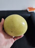 福建平和老樹紅柚 新鮮現(xiàn)摘 皮薄肉厚多汁 蜜柚柚子 1-1.5斤（嘗鮮） 曬單實拍圖