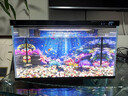 米家（MIJIA）智能生態(tài)魚(yú)缸還原自然生態(tài) 智能魚(yú)缸+濾芯套裝 曬單實(shí)拍圖