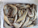 京東超市 海外直采厄瓜多爾白蝦 鹽凍 凈重4斤 60-80只/盒 自營(yíng)火鍋食材 曬單實(shí)拍圖
