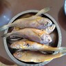往牧舟山野生小黃魚(yú) 深海捕撈鮮活冷凍 海鮮黃魚(yú)燒烤夜宵食材海捕 【99%選擇】?jì)糁?斤約18條/斤 曬單實(shí)拍圖