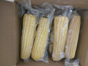 佳農 內蒙黃糯玉米棒8袋*220g 軟糯香甜 真空鎖鮮 源頭直發(fā) 禮盒包郵 曬單實(shí)拍圖