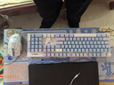 狼蛛（AULA）F2068Pro機械鍵盤(pán)鼠標 全鍵熱插拔 背光 有線(xiàn)鍵鼠三件套裝 辦公電腦鍵盤(pán)電競游戲專(zhuān)用 紫淺藍【鍵鼠耳機桌墊-四件套】茶軸 曬單實(shí)拍圖