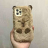 OEMG卡皮巴拉水豚適用蘋(píng)果iPhone 17 Pro Max/iPhone 16 Plus/毛絨絨手機保護套秋冬款 毛絨刺繡-卡皮巴拉水豚 iPhone 17 曬單實(shí)拍圖