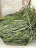 喜帥 精品烘干提摩西草500g 提草荷蘭豬龍貓兔子磨牙牧草飼料兔草主糧 曬單實(shí)拍圖
