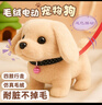 小象跳舞兒童寶寶玩偶小狗玩具狗狗走路會(huì )叫毛絨電動(dòng)生日禮物電子狗1-3歲 曬單實(shí)拍圖