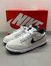 耐克女子輕便皮面運動(dòng)鞋冬季平底膠底板鞋NIKE DUNK LOW HV1800 101白/塵光子色/白/金屬銀/煤黑 39 曬單實(shí)拍圖