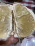 鮮級佳正宗湖南雪峰冰糖柚新鮮懷化安江老樹(shù)小苦柚藥柚子安福金蘭柚孕婦 凈重4.5斤 【嘗鮮小果】 單果250-350克 曬單實(shí)拍圖