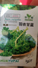 蒲公英甘藍種子野菜婆婆種植食用四季播種多年生種籽高產(chǎn)蔬菜種孑 原裝正品羽衣甘藍種子約100粒 原裝彩包1包 曬單實(shí)拍圖