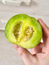 沁煦【嚴選】正宗綠寶石甜瓜東北當季現摘新鮮水果小甜瓜香瓜脆瓜整箱 【嚴選大果】 3斤 曬單實(shí)拍圖