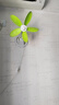 中聯(lián)（ZOLEE）中聯(lián)夾扇電風(fēng)扇迷你微風(fēng)扇小風(fēng)扇小電扇安全硅膠臺夾壁扇靜音家用辦公室工業(yè)學(xué)生宿舍床頭語(yǔ)音聲控 綠色底盤(pán)款(33CM軟葉) 曬單實(shí)拍圖