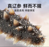 久年 大連國標淡干海參官方旗艦店 底播遼刺參非即食海鮮水產(chǎn)干貨禮盒 國11倍高性?xún)r(jià)比 250g*1盒 20-30頭 曬單實(shí)拍圖