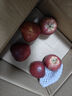 三萌果蔬花牛蘋(píng)果 甘肅當季新鮮紅蛇粉面蘋(píng)果嬰兒輔食水果禮盒節日送禮 5斤精選果【單果70-75mm】?jì)?.5斤 曬單實(shí)拍圖