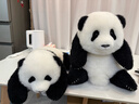 熊貓工廠(chǎng)官方5月齡萌蘭仿真熊貓基地可愛(ài)玩偶抱枕節日生日禮物毛絨玩具 5月齡萌蘭 長(cháng)35*寬35*高38 曬單實(shí)拍圖
