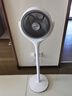 格力（GREE）【許我耀眼推薦】一級能效直流變頻輕音空氣循環(huán)扇家用語(yǔ)音遙控電風(fēng)扇香薰雙重凈化抑菌落地扇 曬單實(shí)拍圖