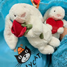 Jellycat【全球首發(fā)】乳白色懷抱玫瑰邦尼兔毛絨禮物玩偶公仔情人節新品 乳白色 Medium 曬單實(shí)拍圖