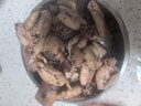 去內臟海兔干包郵新鮮烏賊筆管魚(yú)海兔子墨魚(yú)仔魷魚(yú)仔干貨大號 500g 曬單實(shí)拍圖