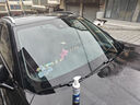 藍海豚汽車(chē)油膜去除劑擋風(fēng)玻璃除油膜清洗劑車(chē)窗去油膜清潔劑乳200ml 曬單實(shí)拍圖