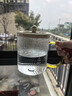 World Kitchen康寧迷你養生壺養生杯全玻璃0.5L 小型電燉杯電熱杯煮花茶壺 辦公室熱牛奶神器煮茶器自用送禮 【標準款】 0.5L 曬單實(shí)拍圖