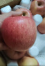 京地達煙臺棲霞紅富士蘋(píng)果凈重4.5斤單果約193g煙臺蘋(píng)果水果源頭直發(fā) 曬單實(shí)拍圖