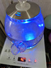 益茶福全自動(dòng)上水電熱水壺茶臺燒水壺飲水燒水一體機玻璃底部上水單壺茶幾煮茶壺保溫泡茶壺開(kāi)水壺煲水壺 1L 藍光玻璃壺ZC-S516套裝 曬單實(shí)拍圖