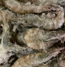 賣(mài)魚(yú)郎先生青島鹽凍大蝦凈重3.6斤 10-15只/斤 白蝦大蝦基圍蝦生鮮 蝦類(lèi) 曬單實(shí)拍圖