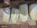 京鮮生山東新鮮大娃娃菜凈重5斤 單棵300g+新鮮蔬菜 源頭直發(fā) 曬單實(shí)拍圖