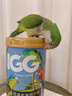 IGG鸚鵡漿果種子糧 鳥(niǎo)糧【1kg】飼料小太陽(yáng)玄鳳金太和尚錐尾凱克 曬單實(shí)拍圖