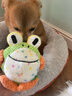 KimPets狗狗玩具電動(dòng)跳跳球寵物自嗨解悶神器發(fā)聲幼犬磨牙耐咬泰迪柯基犬 跳跳青蛙 曬單實(shí)拍圖