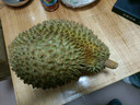 豪優(yōu)樾泰國進(jìn)口金枕頭榴蓮鮮果 新鮮生鮮水果整顆帶殼 精選5-6斤（1-2個(gè)） 曬單實(shí)拍圖
