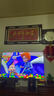 TCL雷鳥(niǎo)電視鵬6 26款 65英寸 144Hz高刷 MEMC運動(dòng)補償 3+64GB內存 94%P3色域高階VA平板電視機 65S68A 曬單實(shí)拍圖