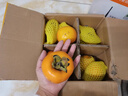 京鮮生 新鮮脆柿子5斤  單果150g起 甜柿子  生鮮水果禮盒 曬單實(shí)拍圖