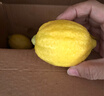 【果園直發(fā)】現摘正宗無(wú)籽廣東香水檸檬青黃果鴨屎香奶茶店專(zhuān)用 香水檸檬黃果5斤裝45克--230克 曬單實(shí)拍圖