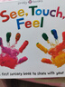 See, Touch, Feel 觸覺(jué)視覺(jué)嗅覺(jué)感官認知 內附小鏡子 英文原版 親子互動(dòng)游戲書(shū) 觸摸紙板書(shū) 曬單實(shí)拍圖