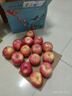 洛川蘋(píng)果紅富士 陜西延安新鮮生鮮水果 健康輕食  源頭直發(fā)新果禮盒當季 凈4.6斤中果 單果170-200g 曬單實(shí)拍圖