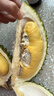 趣嘗鮮貓山王榴蓮馬來(lái)西亞D197液氮冷凍凈重3.5-4.0斤/個(gè) 曬單實(shí)拍圖