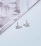 戚小米999足銀星星耳釘女士小巧精致耳環(huán)養耳洞睡覺(jué)不用摘螺絲擰扣耳飾 【999足銀】星星耳釘一對 曬單實(shí)拍圖