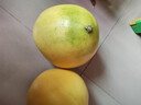 京鮮生 福建琯溪紅心蜜柚2粒裝 凈重4-5斤 單果800g+ 水果 源頭直發(fā)包郵 曬單實(shí)拍圖