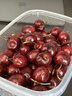 山姆大叔金獎·車(chē)厘子4J智利車(chē)厘子5kg【JD順豐-多地次日達】櫻桃水果送禮 3斤(凈重) 【超值推薦】爽吃禮盒* 【黑鉆級 | 爽吃滿(mǎn)足】3J 巨無(wú)霸 30-32mm 曬單實(shí)拍圖