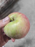 南步正宗東北國光小蘋(píng)果 遼寧特產(chǎn)五蓮國光老品種笨蘋(píng)果新鮮孕婦水果 10斤 精選小果【約48個(gè)】 曬單實(shí)拍圖