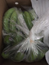 云南高山甜香蕉水果 青果自行催熟 表皮是花皮香蕉日日鮮 帶箱9斤 曬單實(shí)拍圖