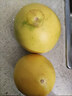 福建平和老樹(shù)紅柚 新鮮現摘 皮薄肉厚多汁 蜜柚柚子 4-5斤（1-2粒）優(yōu)惠 曬單實(shí)拍圖