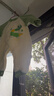 婧麒（JOYNCLEON）新生嬰兒衣服秋冬連體衣寶寶春秋季夾棉保暖長(cháng)袖外出服 Jlt201002 曬單實(shí)拍圖