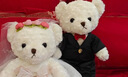 赟婭婚慶壓床雙喜娃娃新婚毛絨公仔玩具新人情侶抱枕送好朋友祝福禮物 婚紗熊中號一對【65cm】高品質(zhì) 超大號抱枕公仔毛絨玩偶婚房擺件正高品質(zhì)版 曬單實(shí)拍圖