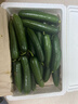 山東壽光水果黃瓜生吃脆新鮮荷蘭青瓜當季無(wú)刺小黃瓜源頭直發(fā) 精品水果黃瓜凈重 4.5斤 曬單實(shí)拍圖