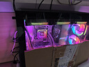 邪手水冷 Intel酷睿 Ultra 高端懸浮海景房 三角洲行動(dòng)無(wú)畏契約電競游戲臺式組裝電腦主機 DIY組裝機 升級包一 單主機 曬單實(shí)拍圖