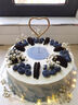 樂(lè )食錦新鮮水果生日蛋糕同城配送父母愛(ài)人兒童禮物新鮮直達支持預定 奧利奧森系風(fēng)-設計師款 8英寸850g(適合2-4人食用) 曬單實(shí)拍圖