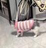 阿莫爾狗狗衣服秋冬比熊泰迪雪納瑞小型犬加厚泡泡袖針織衫貓咪公主毛衣 粉色飛袖毛衣【冬款】 S 曬單實拍圖