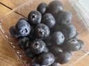 京鮮生 秘魯藍莓超大果Jumbo18mm+ 12盒裝 125g/盒 新鮮水果 源頭直發(fā) 曬單實(shí)拍圖