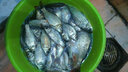 釣哈哈（Diaohaha） 釣臺通用配件加厚不銹鋼炮臺架魚護(hù)架傘架套腿燈架釣臺支架 雙管四絲抗風(fēng)大傘架B款 曬單實拍圖
